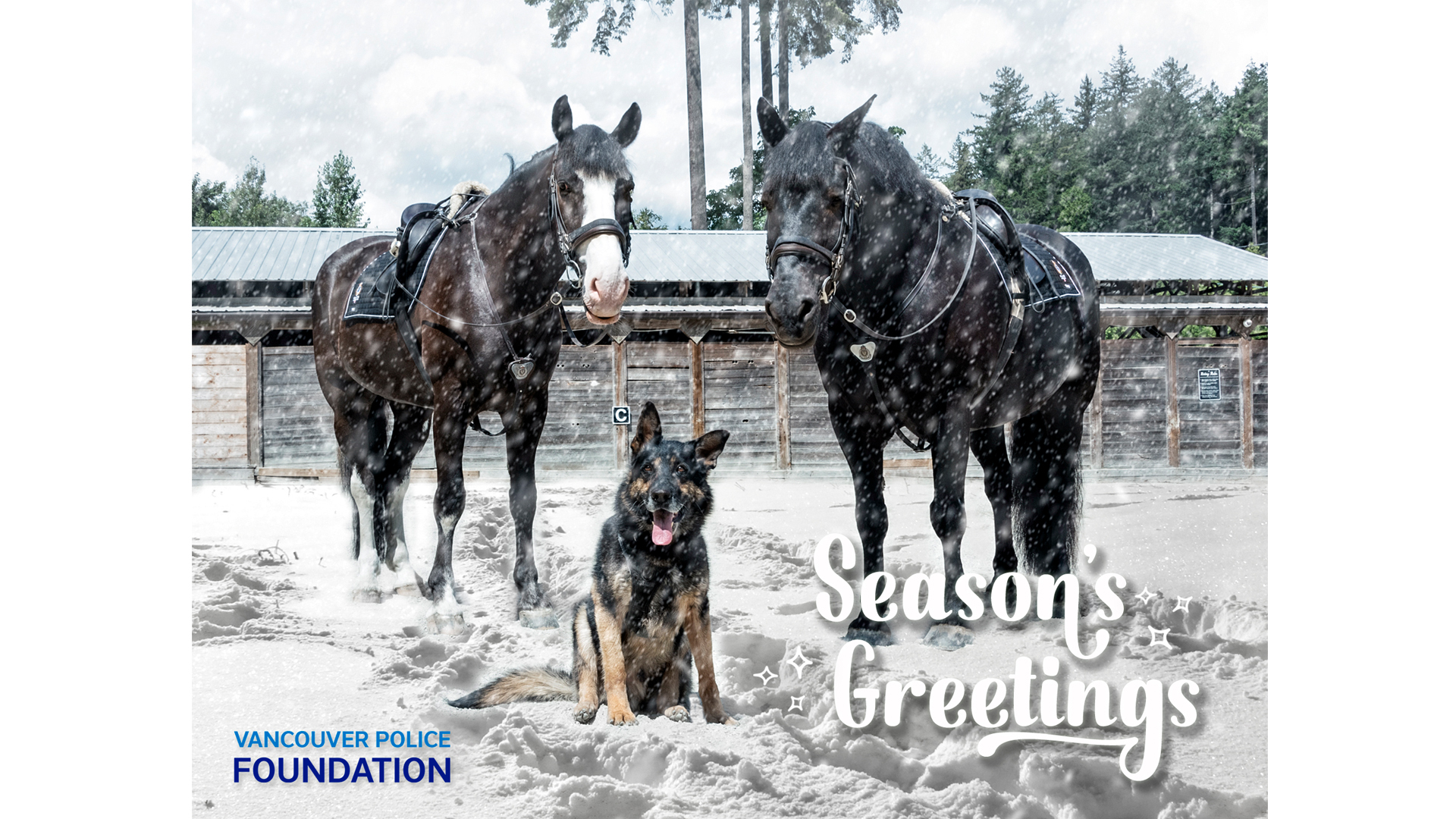 Greeting Cards_0001_Background